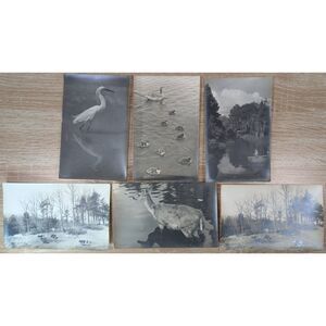 Vintage B&W Photo Postcards Wildlife Deer Birds Farm Lot Dupont Unused